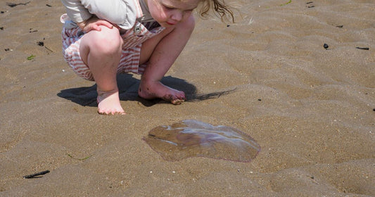 Jellyfish Stings in Children: A Parent’s First Aid & Relief Guide